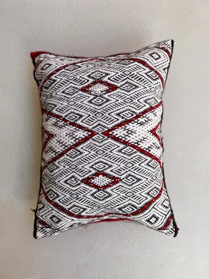 Ain Leuh Pillow - Evil Eye, Striped Back