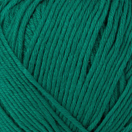 Bella Shawl Collar Cardigan