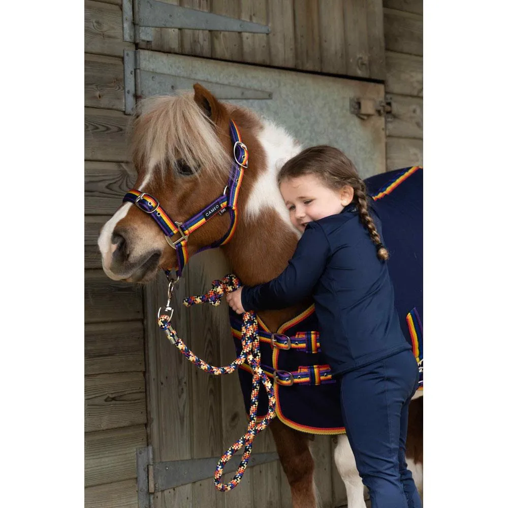 Cameo Equine Quality Padded Headcollar & Strong Leadrope - Comfortable & Stylish