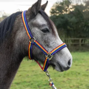 Cameo Equine Quality Padded Headcollar & Strong Leadrope - Comfortable & Stylish