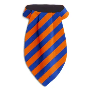 Collegiate Blue and Orange - Ascots
