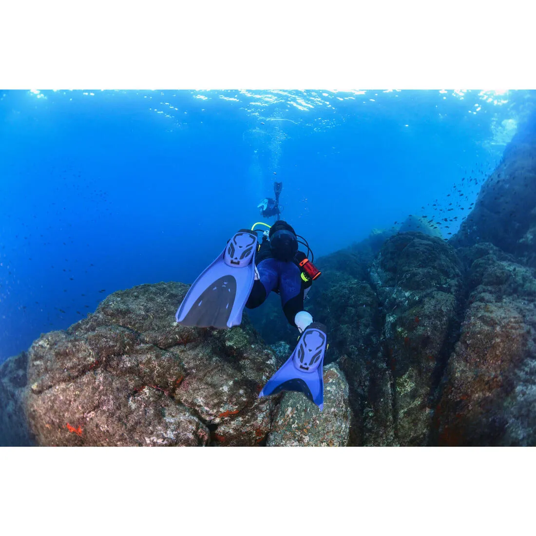 Diving fins adjustable OH 500 soft turquin blue