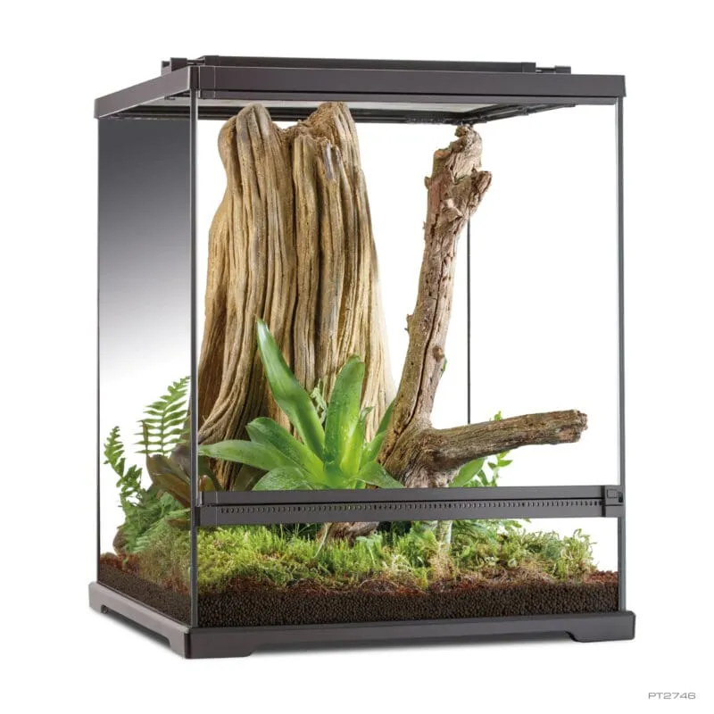Exo Terra Terrarium - Frog (45 x 45 x 60cm)