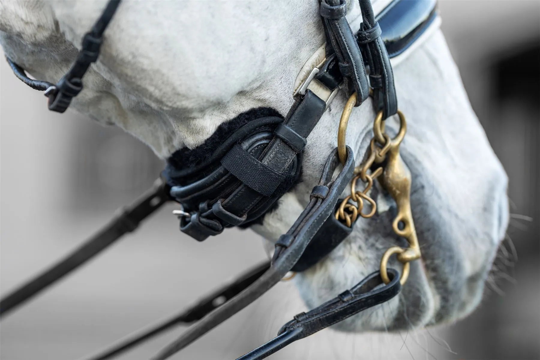 LeMieux Simuwool Chin/ Noseband Guard