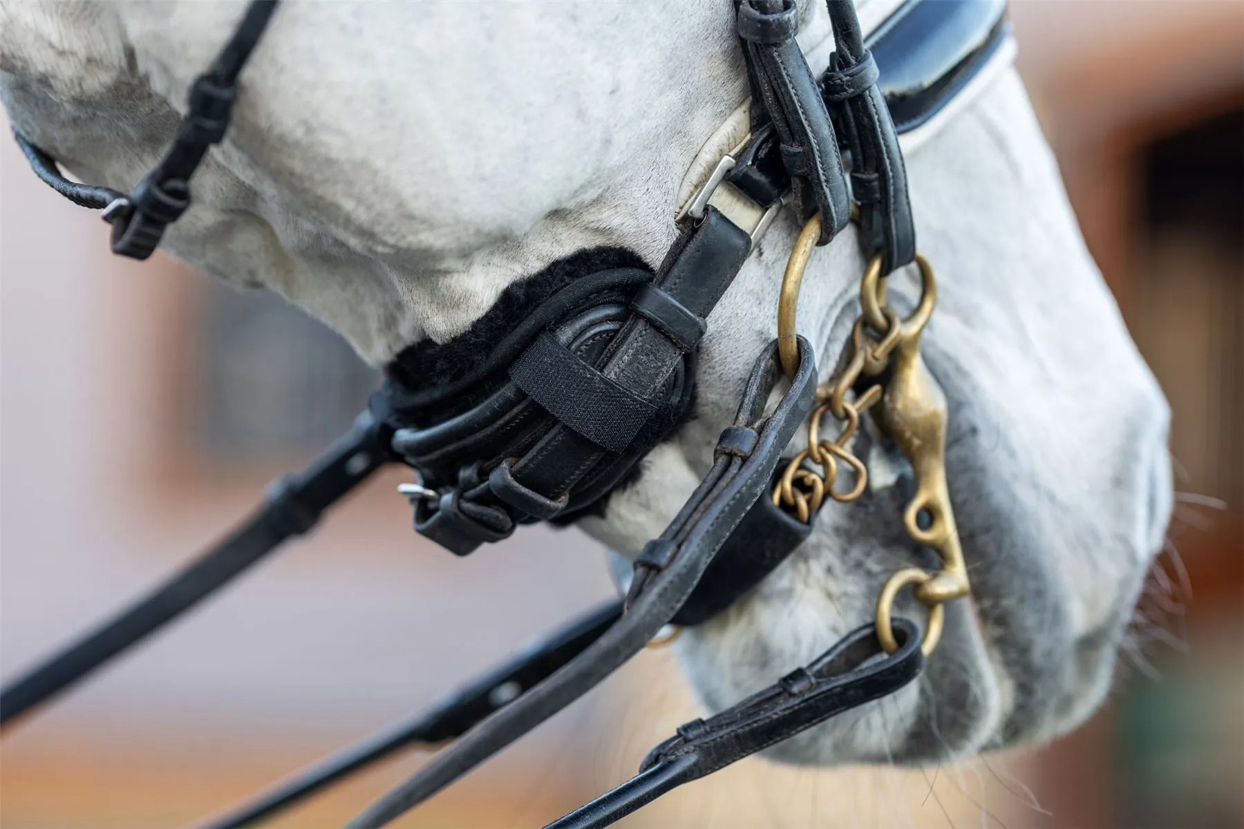 LeMieux Simuwool Chin/ Noseband Guard
