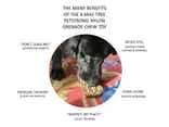 Sodapup Peanut Ultra Durable Nylon Dog Chew Toy for Aggressive Chewers