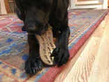 Sodapup Peanut Ultra Durable Nylon Dog Chew Toy for Aggressive Chewers