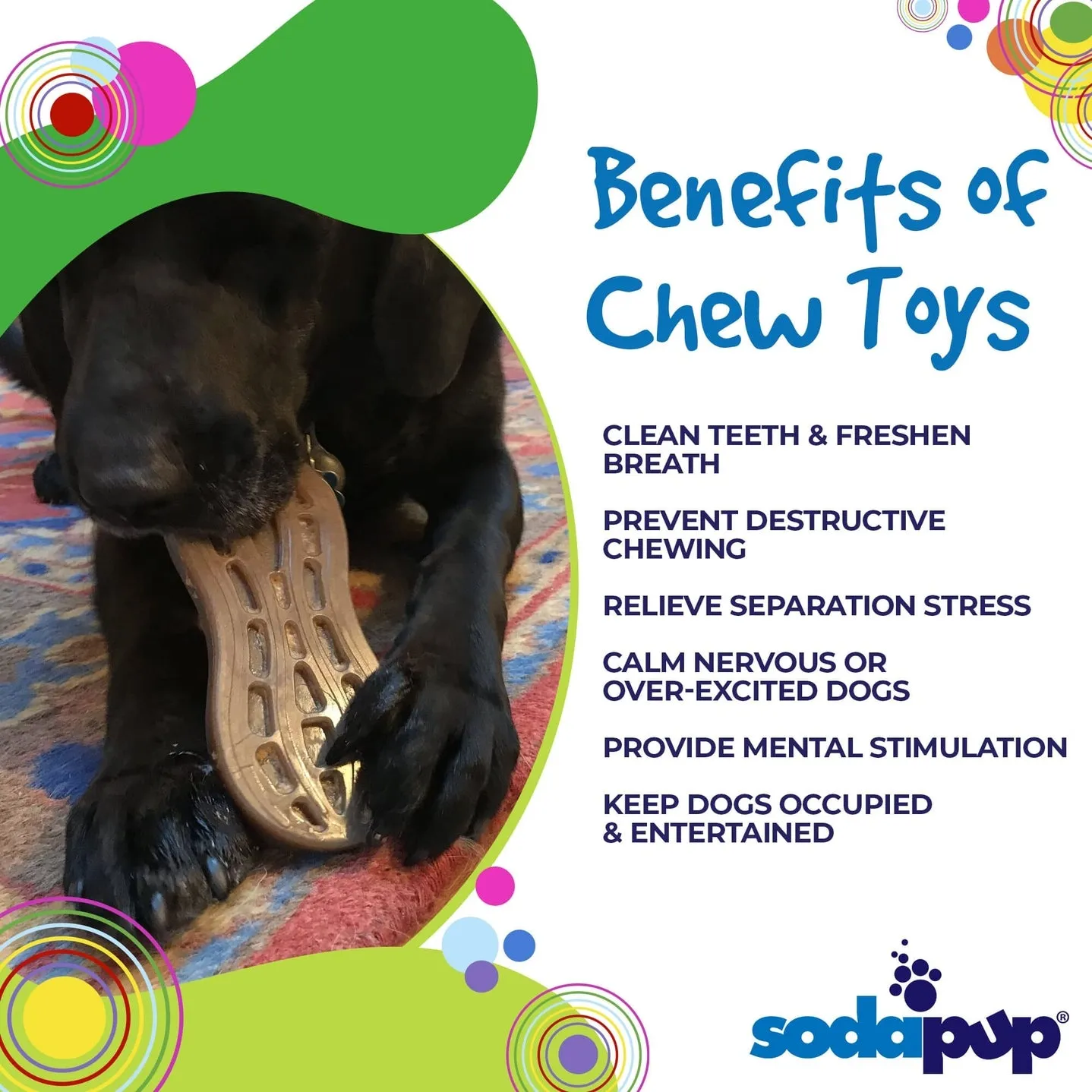 Sodapup Peanut Ultra Durable Nylon Dog Chew Toy for Aggressive Chewers