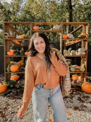 Textured Crop Knit V Neck Sweater
