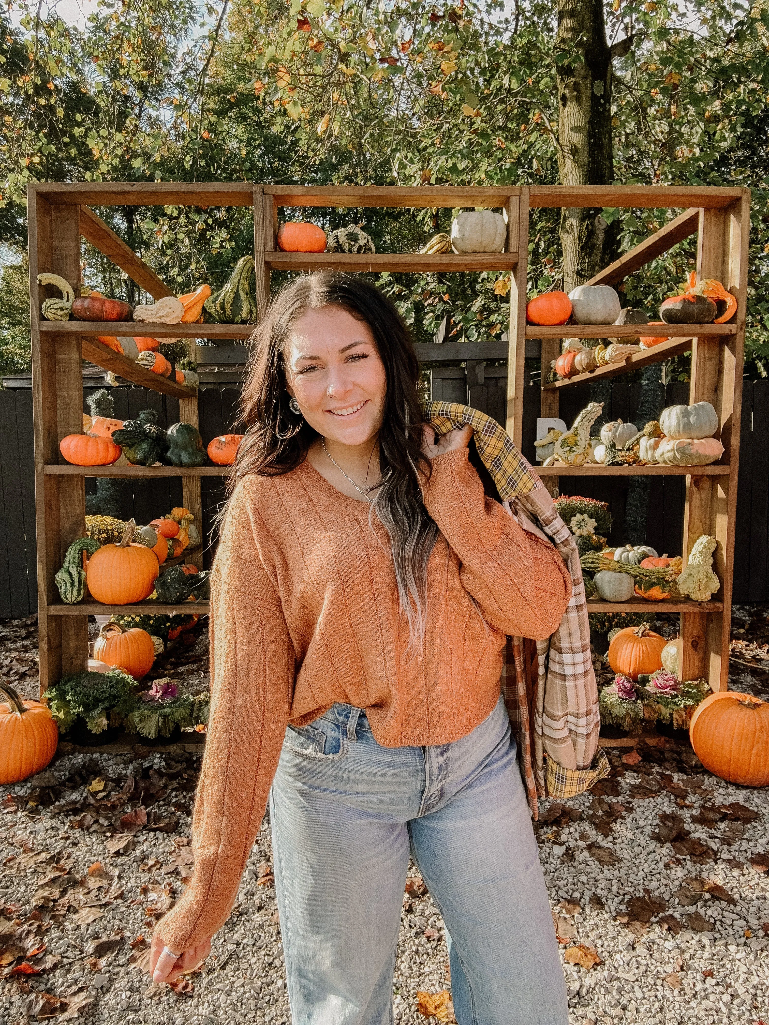 Textured Crop Knit V Neck Sweater