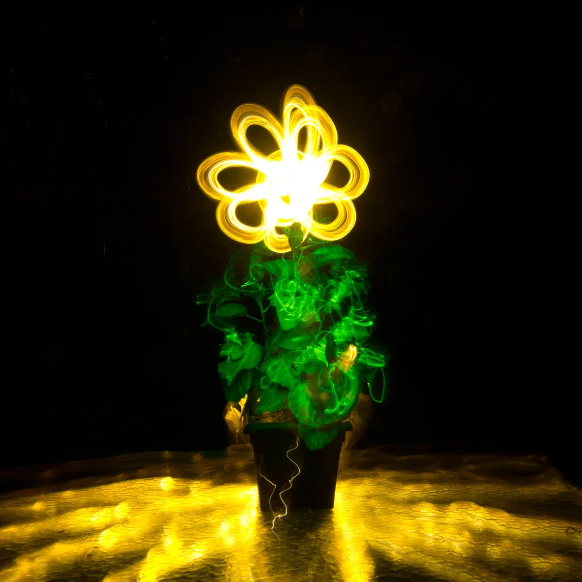Translucent Light Writers (Individual)